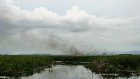 Black smoke and fire flame from burning grasslands rising in the air Stock Footage 152761091