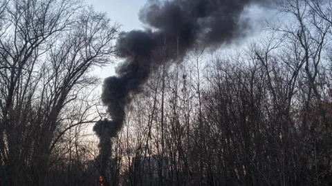 Black smoke in the forest Vídeo Stock 148903647