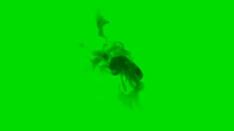 Black Smoke Overlay Animation Effects Green Screen stock video footage Stock Footage 281676610