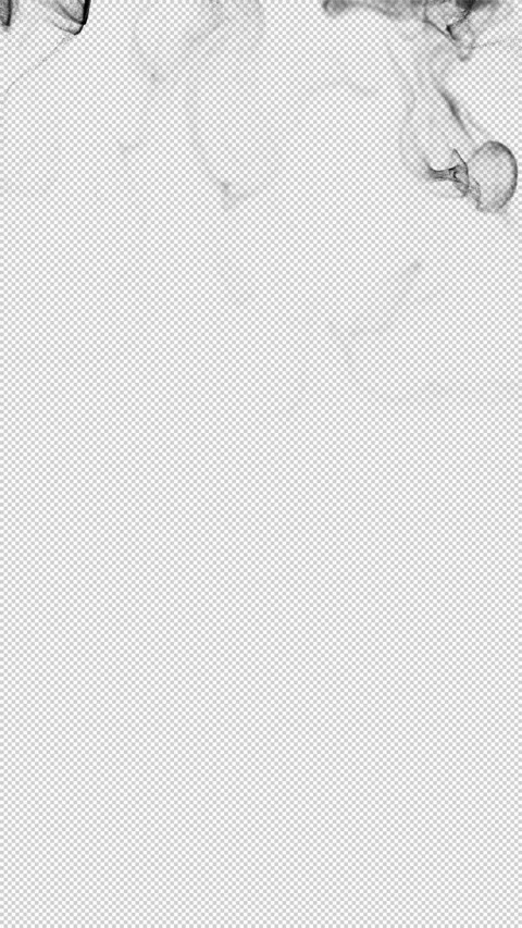 Black Smoke Wave Sweep on Transparent Background Stock-Footage 344974119