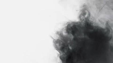Black smoke, on a white background background, flowing, steam, color inversi Stock Footage 154766230