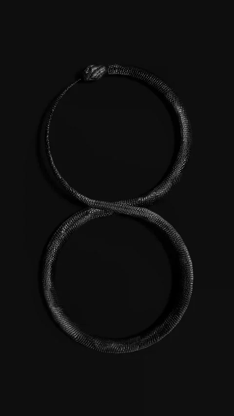Black snake circle loop background portrait 库存影片 336153916