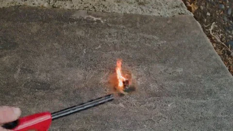 Black Snake Firework Stock Footage 69213651