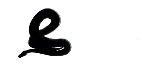 Black snake silhouette, camera from bottom Stock Footage 153684696