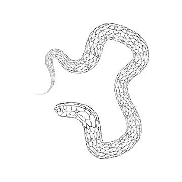 Black snake, silhouette, vector outline, symbol 2025, isolated on white bac.. Stockillustratie