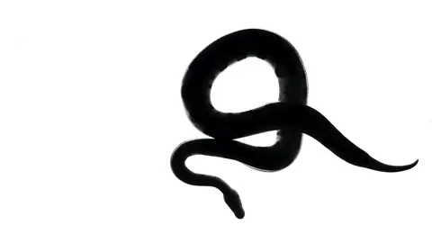 Black snake silhouette on white, camera from bottom Stock-Footage 153745932