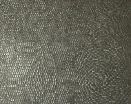 Black snake skin close up. Background. Texture. Photos