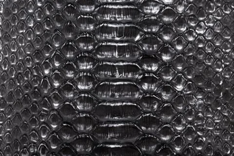 Black Snakeskin texture pattern, natural python leather. Stock Photos