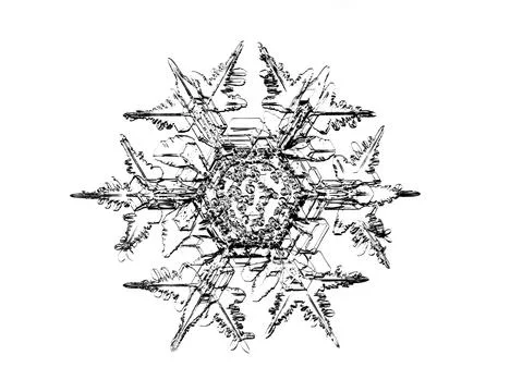 Black snowflake isolated on white background. Illustration based on macro photo Stock Illustration
