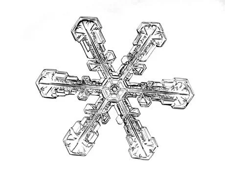 Black snowflake isolated on white background. Illustration based on macro photo Stock Illustration