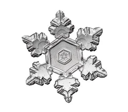 Black snowflake isolated on white background. Illustration based on macro photo Stock Illustration