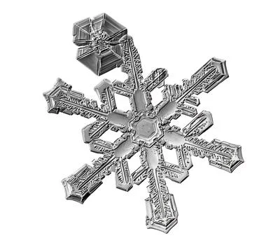 Black snowflake isolated on white background. Illustration based on macro photo Stock Illustration