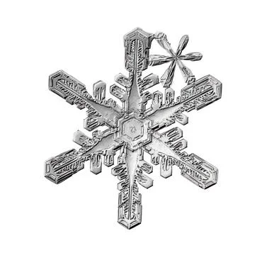 Black snowflake isolated on white background. Illustration based on macro photo Stock Illustration