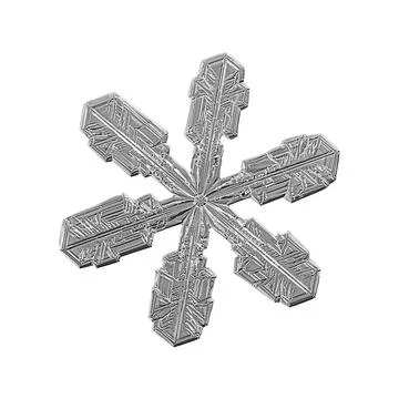 Black snowflake isolated on white background. Illustration based on macro photo Stock Illustration