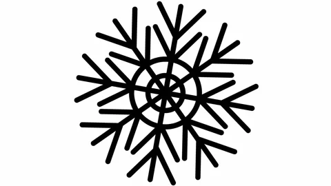 Black snowflake spin white Video stock 208907515