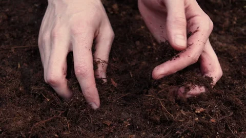 Black soil in man hands. Stock Footage 258577156