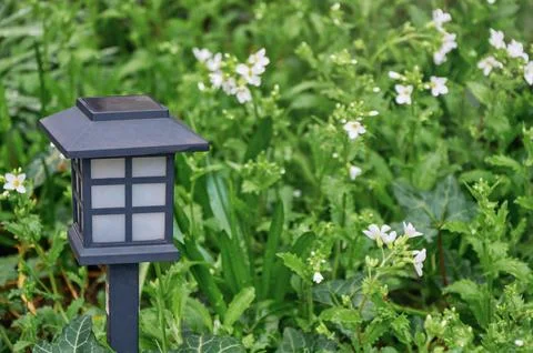 Black solar lantern in a lush spring garden surrounded by green foliage and.. Stock Photos
