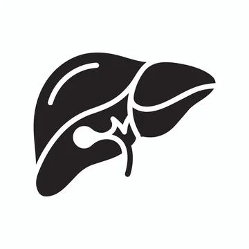Black solid vector icon of human liver anatomy with gastroenterology, interna Stock Illustration