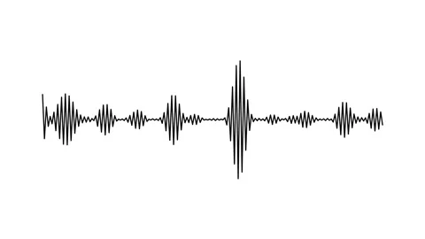 Black Sound Wave Visualizer Animation With Digital Rhythm Tracking Effect Stock Footage 341159793
