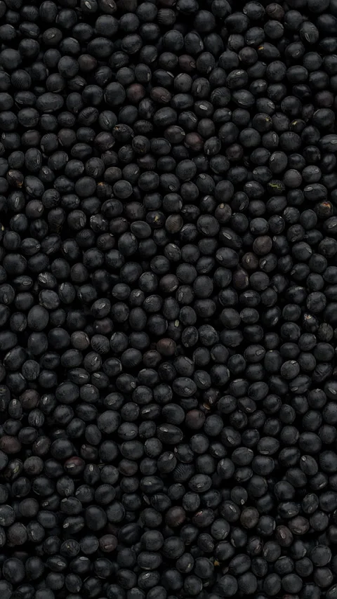 Black soybean background. Vertical video. Stock Footage 277420353
