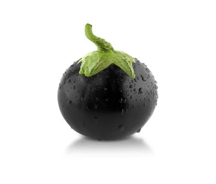 Black Spherical Eggplant Illustrazione stock