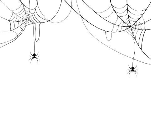 Black spider and spider web. Scary spiderweb of halloween symbol. Isolated on Stock Illustration
