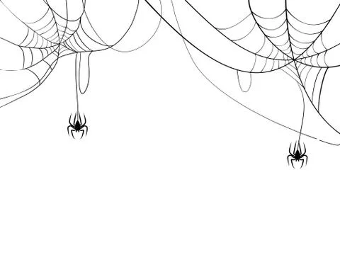 Black spider and spider web. Scary spiderweb of halloween symbol. Isolated on Illustrazione stock
