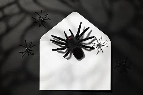 Black spider emerging from white envelope under eerie shadows for Halloween.. Foto stock