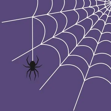 Black spider hangs from a white web on purple background. Vector illustration Stock Illustration