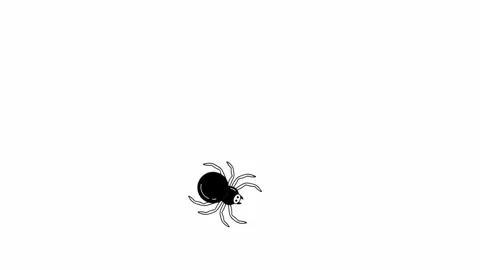 Black Spider Icon Animated Motion Graphic on White Background 库存影片 344864886