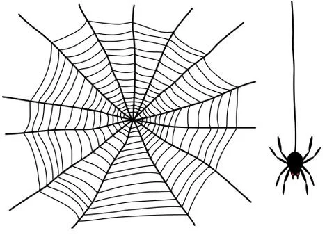 Black spider Stock Illustration