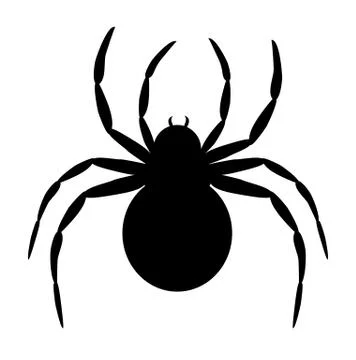 Black spider Stock Illustration