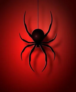 Black spider silhouette. Vector illustration. Stock Illustration