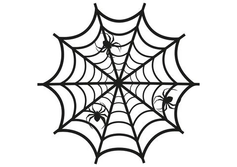 Black Spider. Spiderweb. Spider sitting on the spider's canvas Stock Illustration