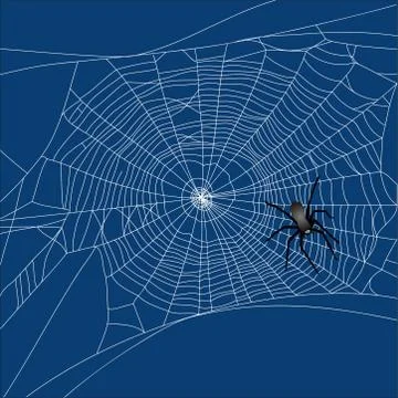 Black spider on wall  vector illustration Stock Illustration