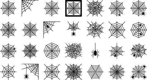 Black spider web collection with various intricate patterns and spiders for.. Stock Illustration