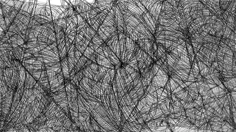 Black spider web fills a white background in 4K. Detailed spider web transition Stock Footage 339021982