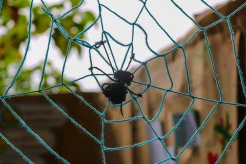 Black spider on wire spider web 写真素材