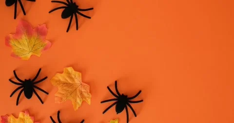 Black spiders, fall leaves and place for text on an orange background Stock Footage 344980605