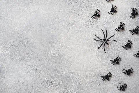 Black spiders on a gray background. Concept Halloween celebration. Foto stock
