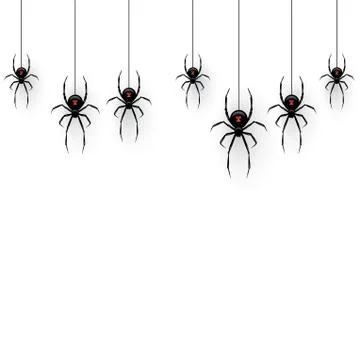 Black spiders hanging on a web isolated on white background. Vector design Stock Illustration