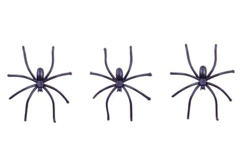 Black spiders Stock Photos