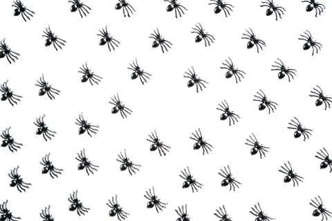 Black spiders on a white background. Illustrazione stock