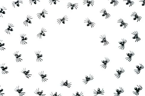 Black spiders on a white background. Illustrazione stock