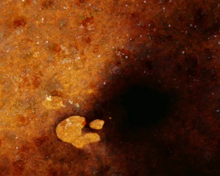 Black Spot Видео 105297