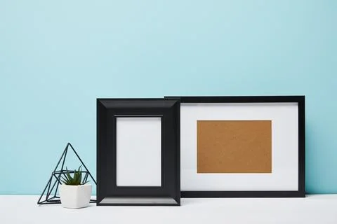 Black square frames green plant Foto stock