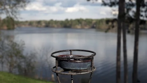Black squirrel jumps up in slow motion to eat grape jelly. Video stock 123445691