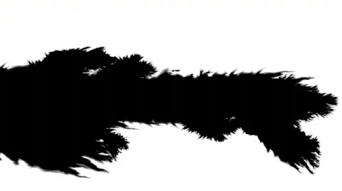 Black stain on the white background.  Stock Footage 739534