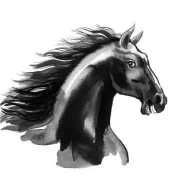 Black Stallion Stock Illustration