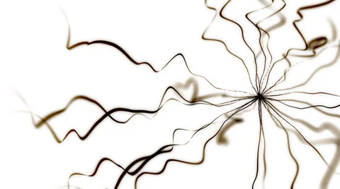 Black Star Stock Footage 43072293